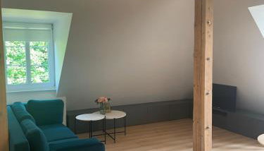 Szmaragdowa Sowa - Foto 2