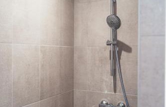 Ski et Détente Les Orres 1650 Animaux OK - Photo 30