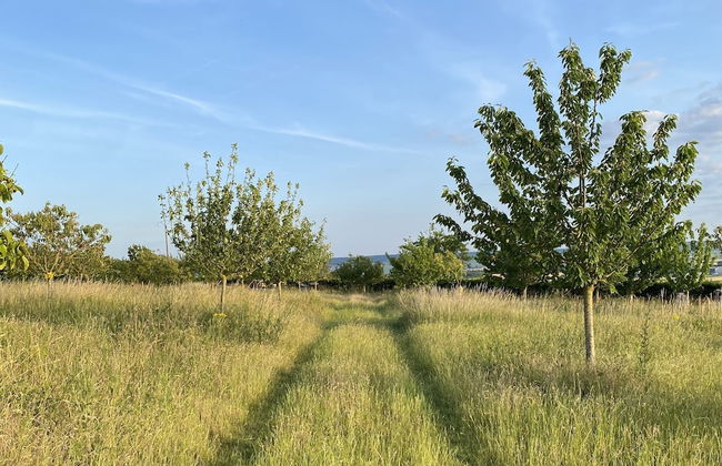 L'intemporel - Foto 51