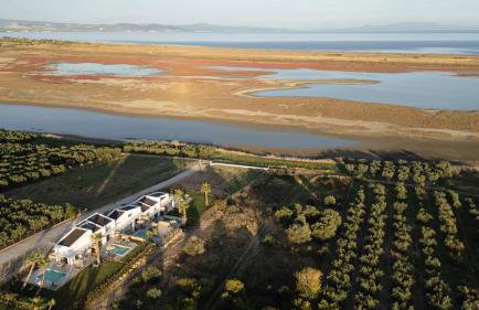 Flamingo View Suites & Villas - Photo 23