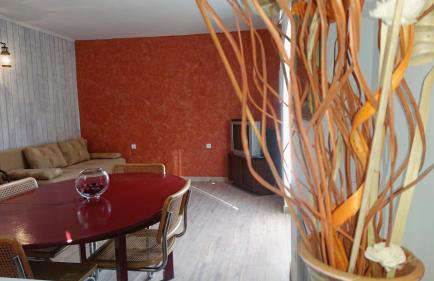 Ljubica Comfortable Apartment - Foto 15