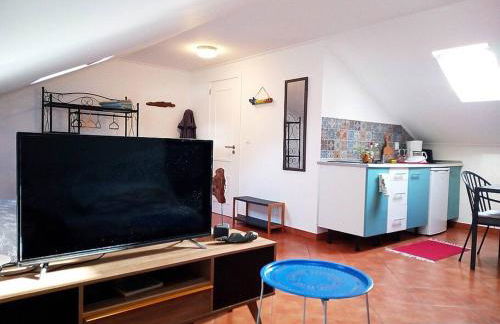 Lazy Lizard Studio - Foto 16