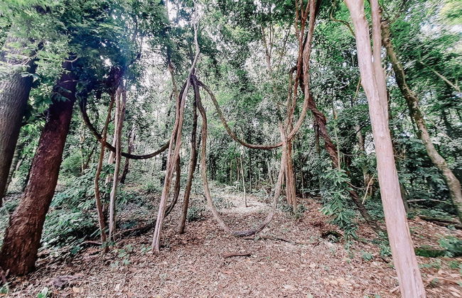 Recanto das Videiras - Foto 33