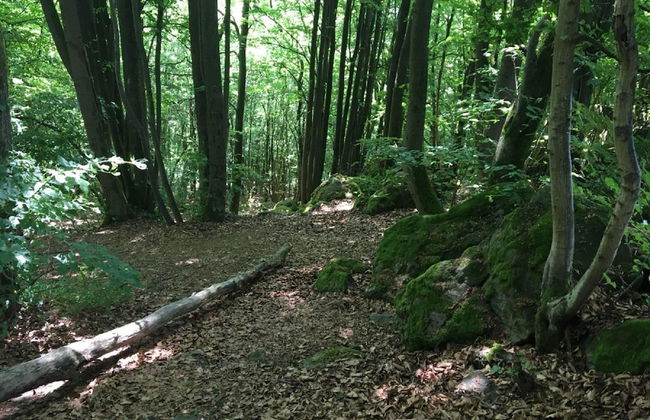 Cozy Apartment in Ellar With Garden - Foto 54