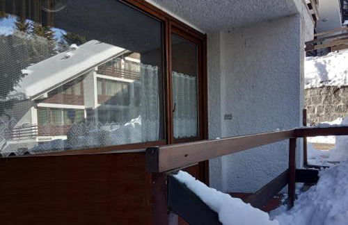 Lacasinapungitopo - Photo 22