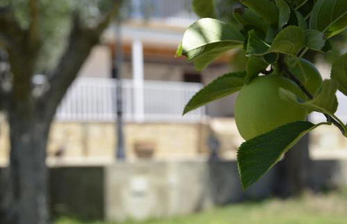 Sueña TOLEDO - Foto 58