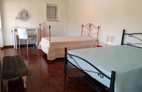 O Terraço da Ribeira - Foto 11