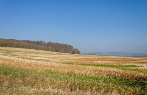 Apartment auf dem Land - Foto 27