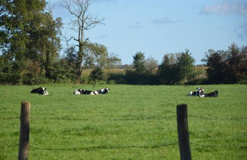 Lovely Holiday Home in Osmanville With Terrace - Foto 17