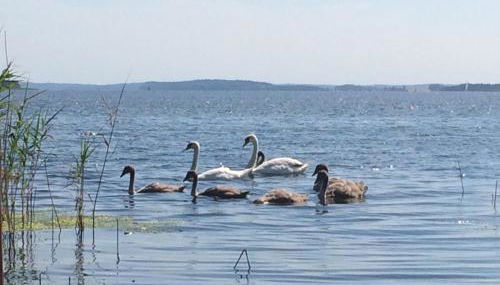 Breeger Boddenhuus - Foto 3