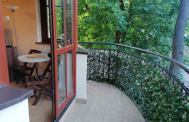 Apartamenty Sun & Snow Willa Hania - Foto 19