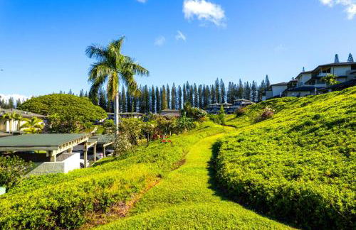 Kapalua Golf Villas 2 Free cars KBM Resorts Large Bedrooms 2 Units 3 Bedrooms ML-2189 - Foto 76