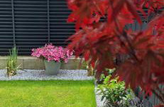 Apartament Stary Tartak - Foto 11