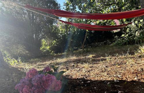 Cozy apartment with private yard - Photo 10