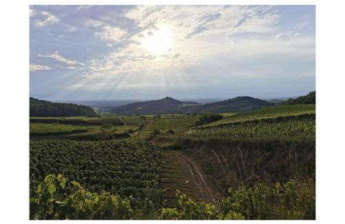 Holiday Apartment Kromer - Foto 45