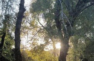 Casa Rural Lavanda con Piscina - Foto 72