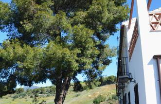 Casa Grande by Rosas Cantares - Foto 9