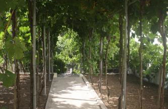 CasaTioManel - Foto 1