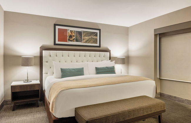 Dominion Polanco - Foto 2