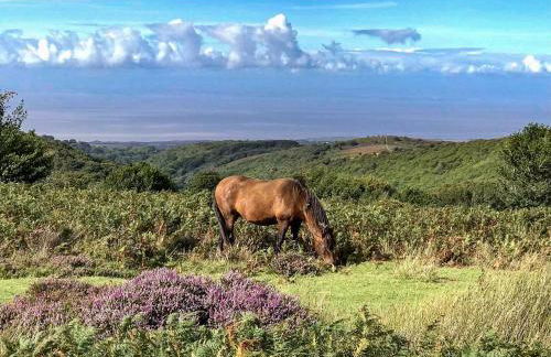 Wilf's Barn, romantic cottage with free parking - Foto 36