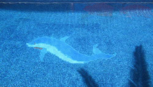 Villa Mimosa - Photo 4