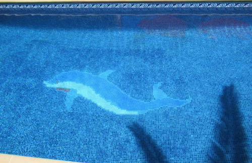 Villa Mimosa - Photo 4