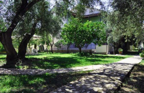 Green House!!! - Foto 36