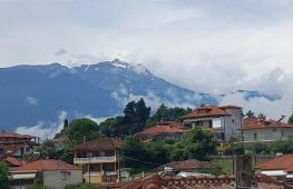 Olympos Philoxenia, μεταξύ βουνού και θάλασσας - Foto 39