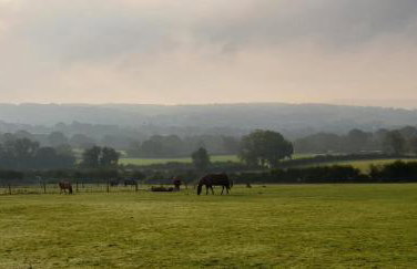 Forton House Shepherd's Huts - Foto 14