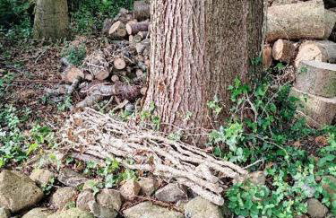 TheWeeHouseOnTheHill - Foto 14