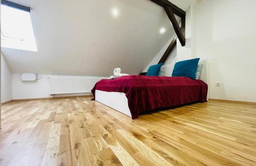 Violet Apartment by Alex Rafael - Photo 12