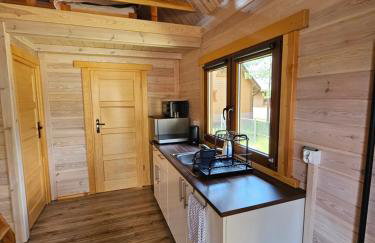 Leśna Przystań Borsk - Foto 5