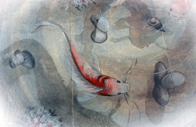 Coralli di Mare - 5 Terre JRE - Photo 64