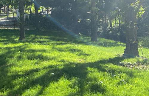 Villa panoramica sulle colline del Monferrato - Foto 48