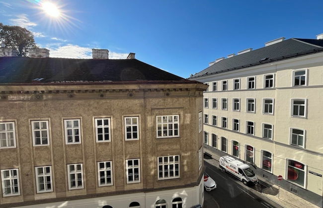 Red Orange Palm - Foto 76