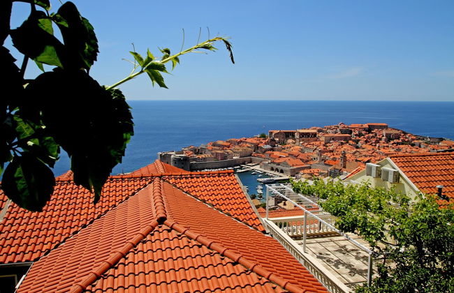 Apartments Ante - Foto 24