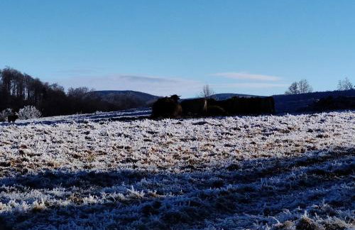 Siódme Niebo domek w górach - Foto 67