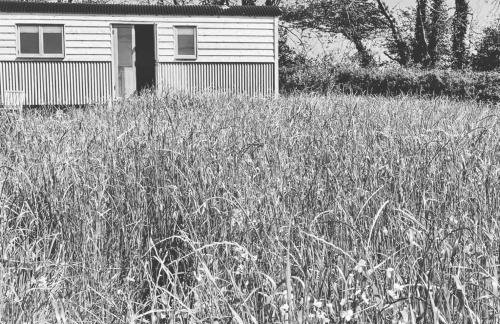 The Acorn - Luxury Shepherds Hut hot tub panoramic views - Foto 12