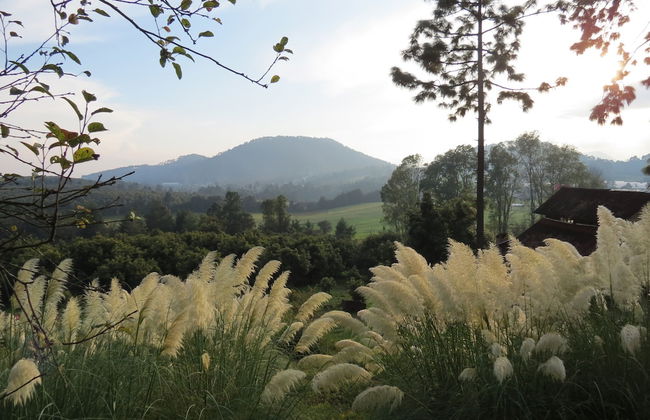 Viña Real Cabañas Rotamundos - Foto 42