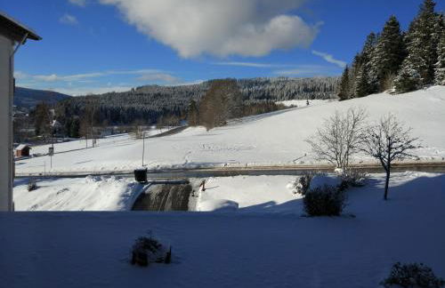 Ferienwohnung Bollenhut - Foto 21