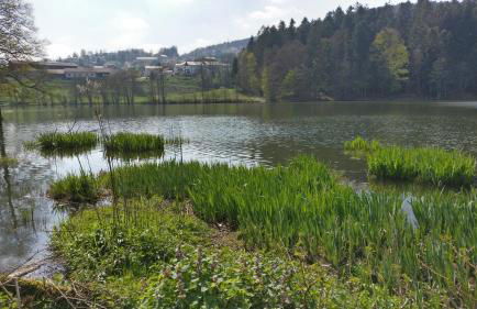 Feriendorf Hauzenberg - Foto 32