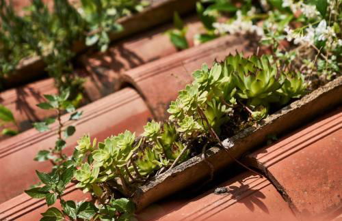 Giardino segreto, in centro - Foto 22