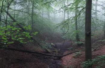 Ferienwohnung Bachstelze mit privater Terrasse - Foto 52