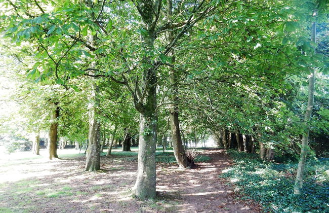 Dartmouth Chalet Holidays - Foto 15