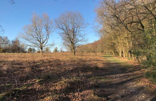 Burleyhayes Barn - Secluded Devon Hideaway. - Photo 19