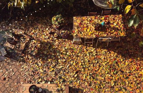 CasaSassi, Home with Outdoor living space - Photo 26