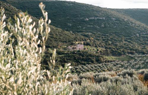 Elaia Rest House Retreat in nature - Foto 38