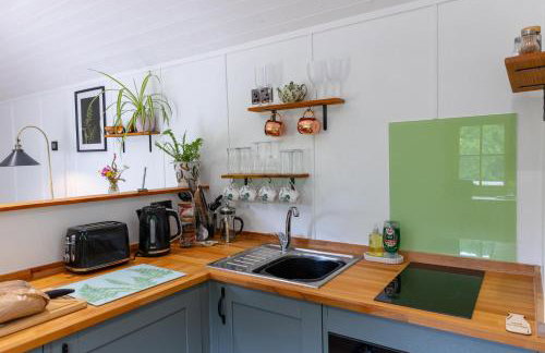Fern Luxury Cabin Great Couples Getaway North Devon - Foto 10