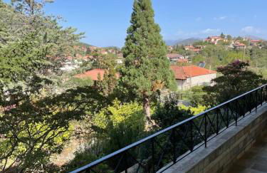 Levidi Horizon - Foto 43