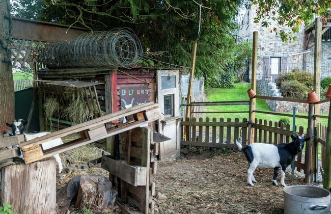 Peaceful Garden Stay, Malmedy - Foto 24